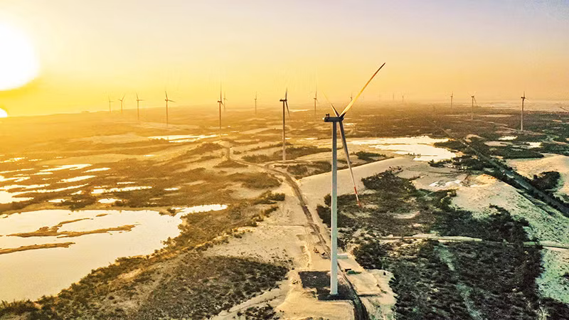 Trang trại điện gió B&T lúc hoàng hôn là địa điểm check-in được giới trẻ lựa chọn khi đến Quảng Bình.