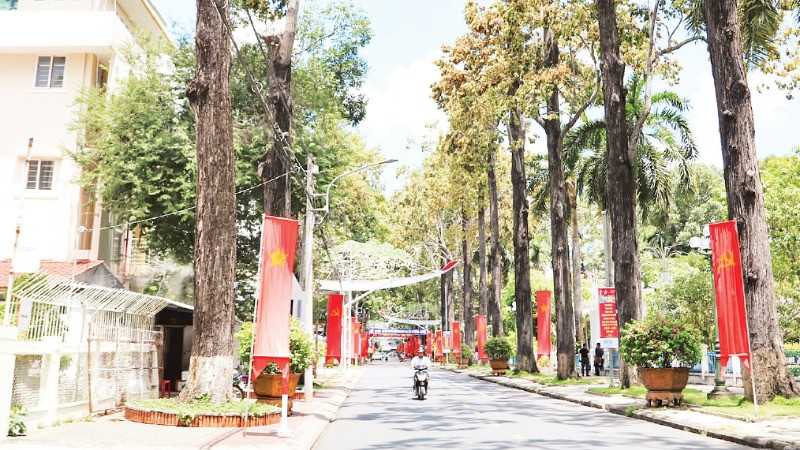 Tuyến đường Lê Thánh Tôn, thành phố Trà Vinh, được người dân quen gọi là đường Hàng Sao.