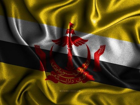 Brunei phê chuẩn Hiệp định thương mại tự do lớn nhất thế giới RCEP