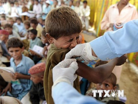 Tiêm vaccine phòng viêm gan B cho trẻ nhỏ. (Ảnh minh họa. AFP/TTXVN)