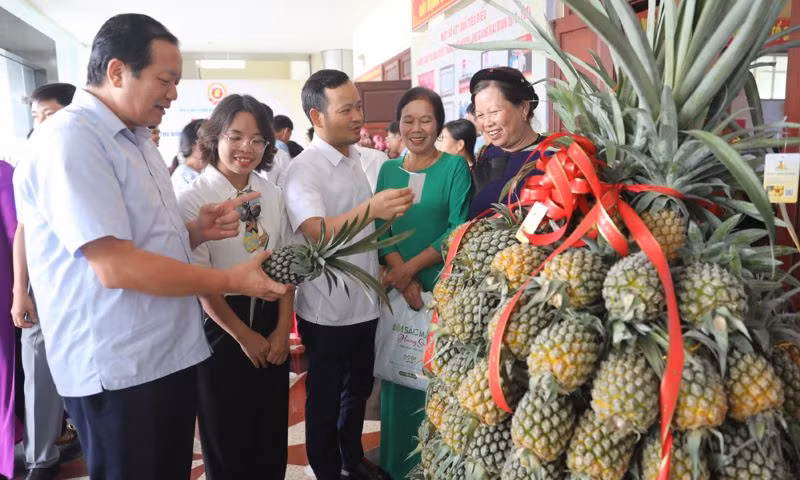 Các đại biểu tham quan gian trưng bày sản phẩm dứa Lạng Giang.
