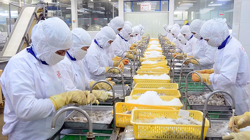 Chế biến thủy sản xuất khẩu ở Công ty cổ phần Thủy sản Cafatex Hậu Giang. (Ảnh Trần Quốc)