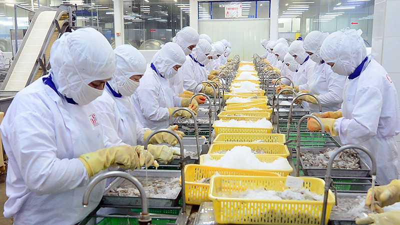 Chế biến thủy sản xuất khẩu ở Công ty cổ phần Thủy sản Cafatex Hậu Giang. (Ảnh Trần Quốc)