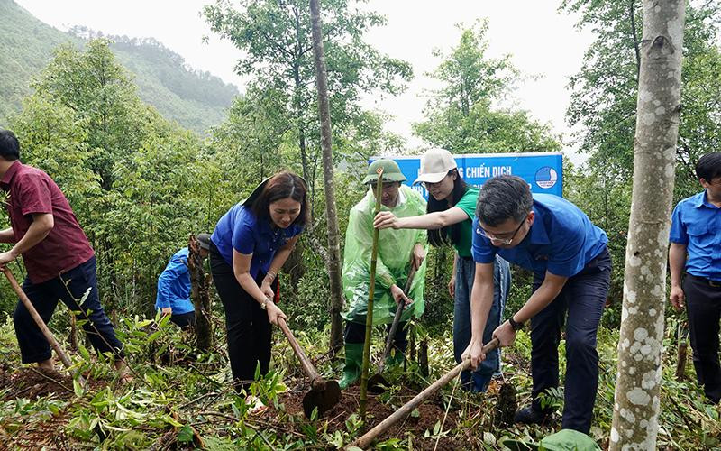 Cán bộ dự án “Thanh âm xanh - Âm nhạc dẫn lối rừng xanh” cùng đại diện chính quyền, Tỉnh đoàn Yên Bái ra quân trồng 10.000 cây tre Mạy Khao Lam tại huyện Mù Cang Chải.