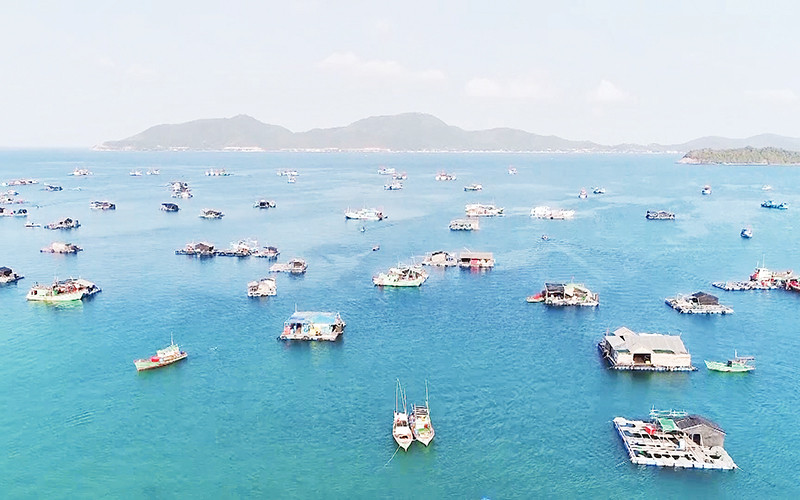  Nuôi cá lồng bè ở ấp Bãi Chướng, xã Hòn Nghệ, huyện Kiên Lương.