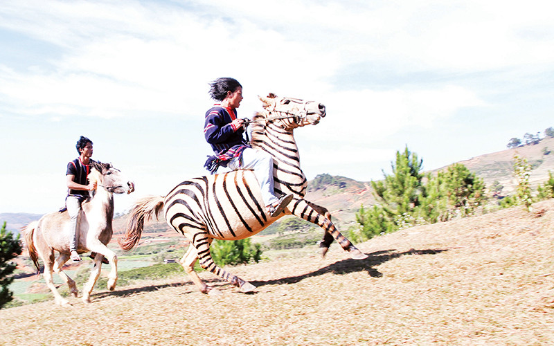 Cuộc đua ngựa không yên chinh phục đỉnh núi Lang Biang.