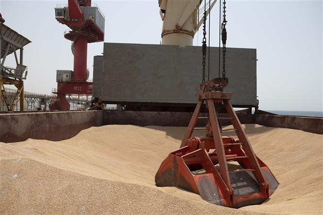 Tàu chở ngũ cốc của Ukraine tới cảng ở Djibouti trong chương trình viện trợ lương thực của Liên hợp quốc, ngày 30/8. (Ảnh: AFP/TTXVN)