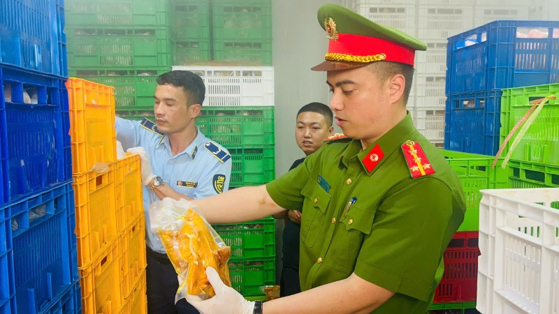 Cơ quan chức năng phát hiện khoảng 20 tấn thực phẩm đông lạnh không rõ nguồn gốc.