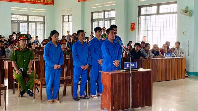 Tòa án nhân dân huyện Đăk Hà (Kon Tum) xét xử sơ thẩm công khai vụ án “Hủy hoại rừng” xảy ra tại Tiểu khu 325, thuộc xã Đăk Pxi. (Ảnh minh họa)