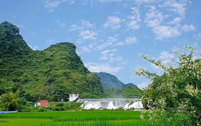 Sắc thu bình yên ở xã Chí Viễn, huyện Trùng Khánh, tỉnh Cao Bằng. 