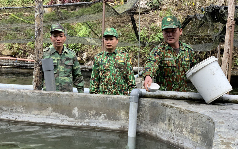 Trại nuôi cá hồi-cá tầm Bắc Âu, xã Pa Vây Sử, huyện Phong Thổ, tỉnh Lai Châu.
