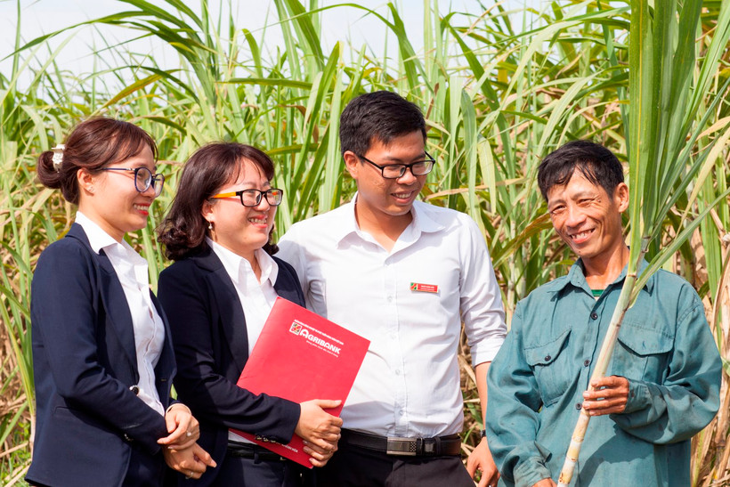 Agribank là công cụ hỗ trợ quan trọng dẫn dắt thị trường trong hoạt động tín dụng lĩnh vực nông nghiệp, nông thôn. Ảnh: AGRIBANK 