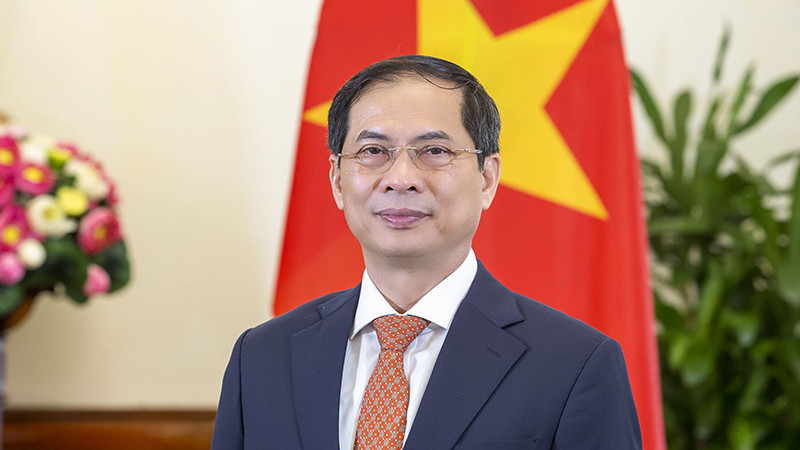 Bộ trưởng Ngoại giao Bùi Thanh Sơn. (Ảnh: Bộ Ngoại giao)