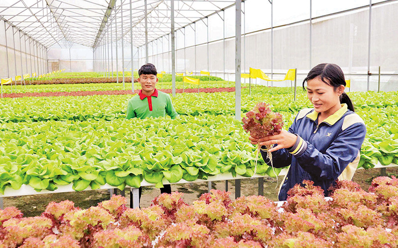 Xây dựng Bệnh viện đa khoa Trung ương khu vực Tây Nguyên 