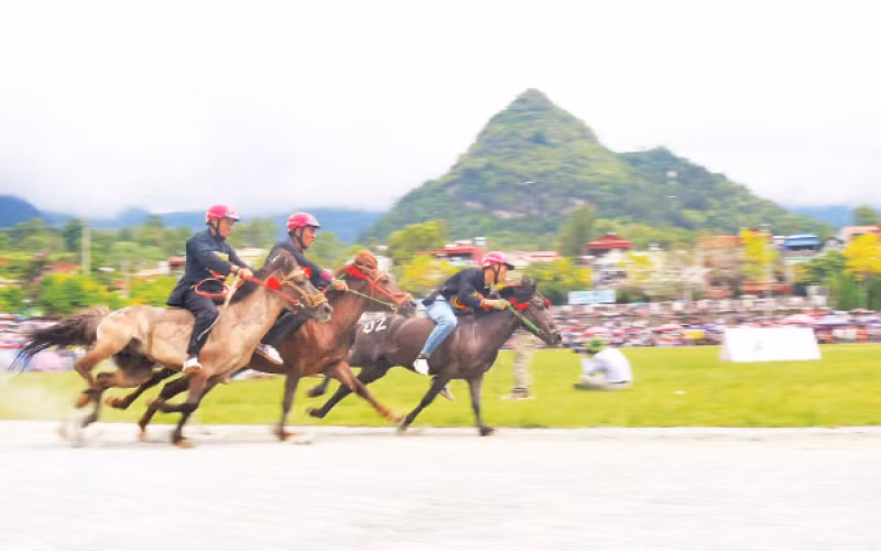 Phi nước rút tại vòng loại cuộc đua ngựa Bắc Hà 2025.