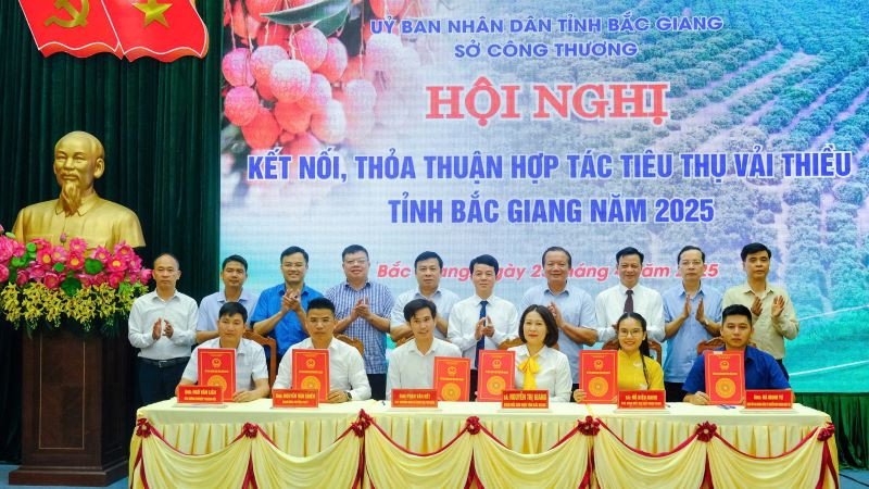 Ký kết hợp tác tiêu thụ vải thiều Bắc Giang 2025.