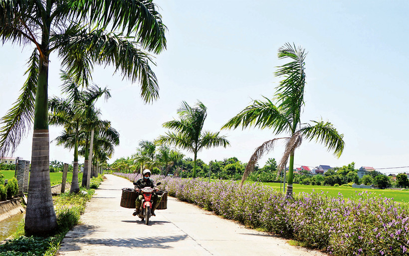 Ðường giao thông được đầu tư nâng cấp, giúp người dân huyện Yên Mô đi lại thuận tiện hơn.