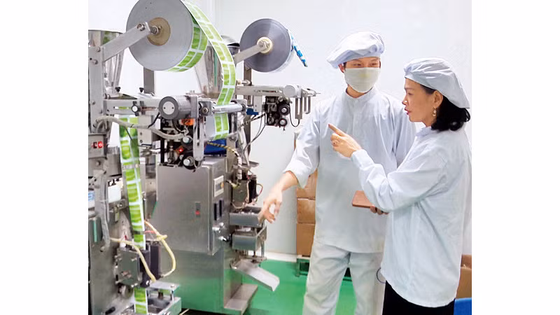 Chế biến, đóng gói sản phẩm từ cây dược liệu.