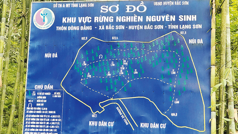 Sơ đồ bảo vệ rừng nghiến nguyên sinh thôn Ðông Ðằng, xã Bắc Sơn, huyện Bắc Sơn, tỉnh Lạng Sơn.