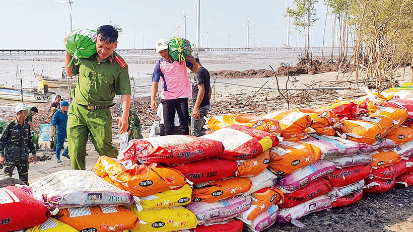 Do bị mất rừng phòng hộ, tuyến đê biển ở Bạc Liêu thường xuyên bị sạt lở nghiêm trọng. Trong ảnh: Các lực lượng chức năng hỗ trợ người dân tạm thời ngăn không cho nước biển tràn vào khu vực dân cư. (Ảnh CTV)