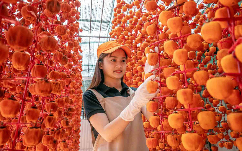 Nông sản từ các tỉnh vùng Tây Nguyên chủ yếu tiêu thụ tại Thành phố Hồ Chí Minh.