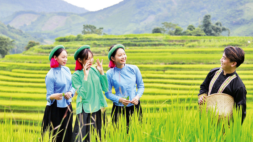 Các chàng trai, cô gái Sán Chỉ chụp ảnh bên những thửa ruộng bậc thang rực rỡ sắc mầu.