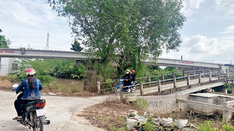 Cầu bắc qua rạch Xẻo Lá trên tuyến đường hậu kênh Thạnh Ðông chưa xong, người dân đi lại khó khăn.
