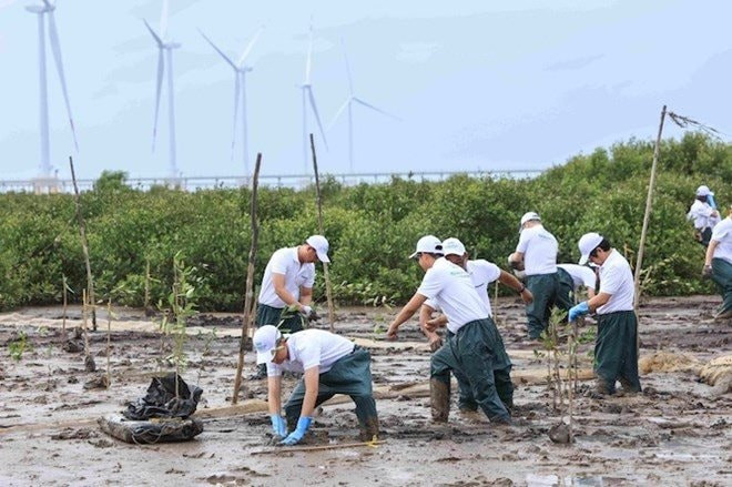 Hoạt động trồng cây được thực hiện tại rừng phòng hộ ven biển tỉnh Sóc Trăng. Nguồn: Ban tổ chức