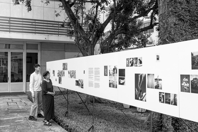 Triển lãm ảnh “Roots & Worlds” tại sân vườn IDECAF, Thành phố Hồ Chí Minh, năm 2024. Chương trình do đội ngũ từ Matca và IC Visual Lab (Vương quốc Anh) đồng hướng dẫn và Hội đồng Anh tài trợ. 