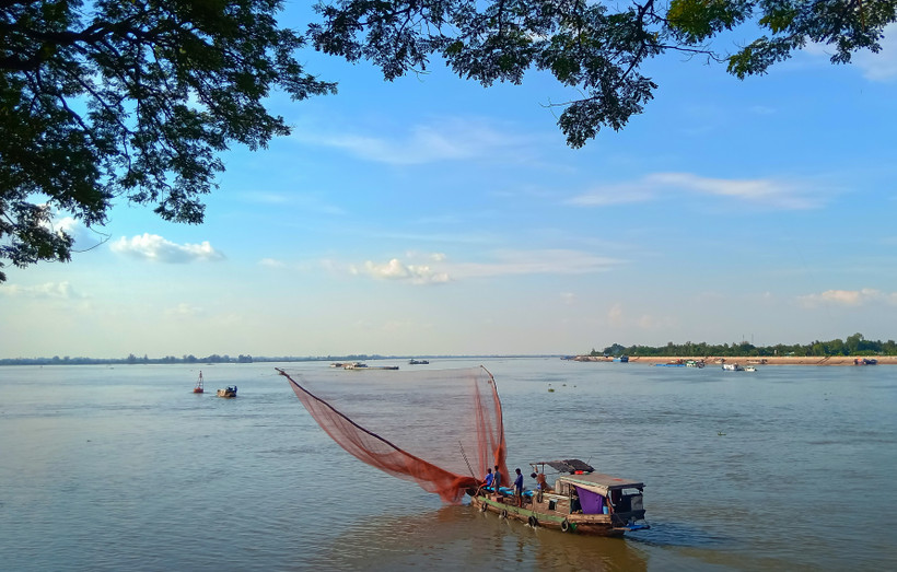 Nghề đẩy te trên sông Tiền, thị xã Tân Châu, tỉnh An Giang. Ảnh: Lê Phương
