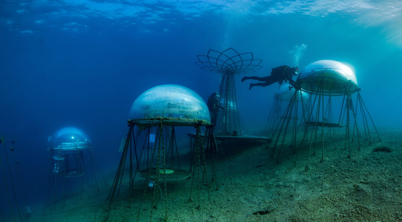 Mỗi khu vườn giống như một "trạm vũ trụ thu nhỏ".