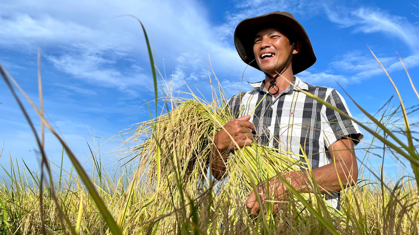 Đề án đặt mục tiêu nâng cao giá trị, nâng cao thu nhập cho người nông dân. Ảnh: Đình Tuyển