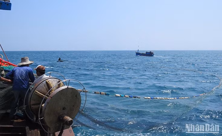Quảng Ngãi yêu cầu kiểm soát 100% hoạt động tàu cá của tỉnh trên biển qua hệ thống giám sát tàu cá.