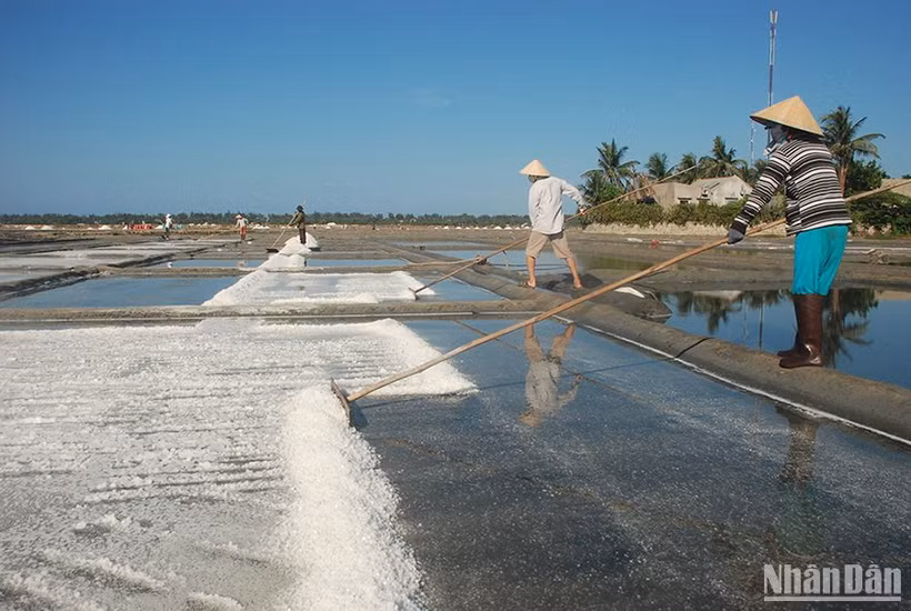 Nghề làm muối ở Sa Huỳnh có truyền thống lâu đời (từ thế kỷ 19) nên người dân rất gắn bó và có nhiều kinh nghiệm sản xuất muối.