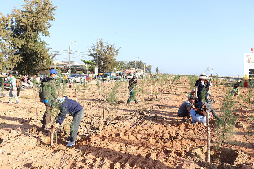 Chung tay trồng cây xanh ven bãi biển xã Nghĩa An, thành phố Quảng Ngãi (Quảng Ngãi)