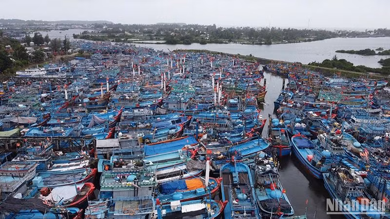 Mùa mưa bão, cảng neo trú tàu thuyền Tịnh Hòa thường xuyên quá tải tàu cá neo đậu. 