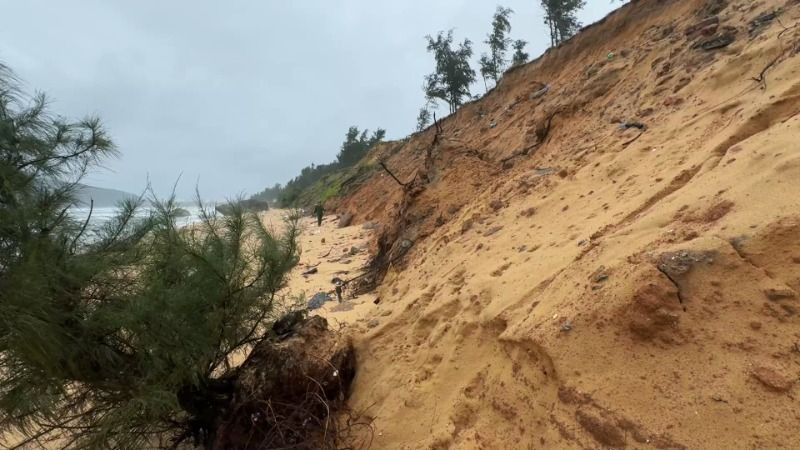 Bờ biển thôn Tuyết Diêm 1, xã Bình Thuận, huyện Bình Sơn bị sạt lở nhiều đoạn, xói sâu vào đất liền khoảng 7m, cục bộ có đoạn bị sạt lở đến khoảng 15m.