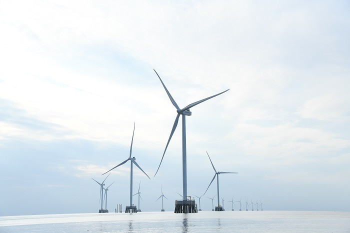 Cà Mau: Bảo đảm 100% cơ sở tiêu thụ năng lượng trọng điểm áp dụng hệ thống quản lý năng lượng 