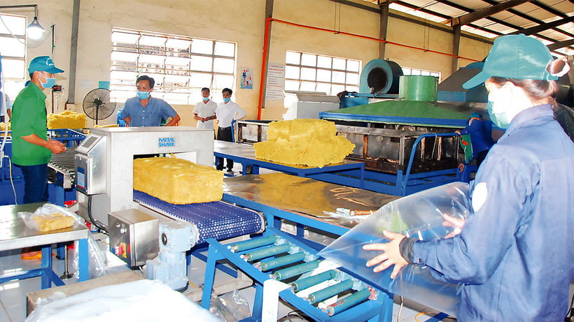 Chế biến mủ cao su tại Công ty Cao su Mang Yang (Gia Lai).