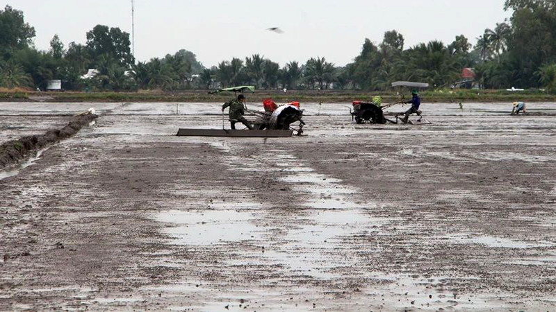 Nông dân xã Xà Phiên, huyện Long Mỹ, tỉnh Hậu Giang làm đất chuẩn bị gieo sạ lúa đông-xuân 2023-2024. (Ảnh TTXVN)