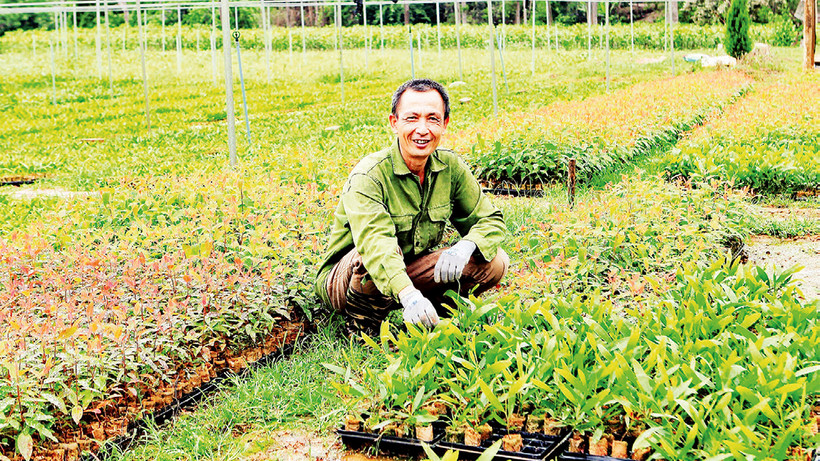 Anh Hoàng Văn Thi, ở thôn Ao Ðẫu, Sơn Hà, Hữu Lũng (Lạng Sơn), chăm sóc vườn ươm giống cây lâm nghiệp, phục vụ người trồng rừng. 