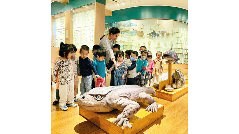 Một góc Bảo tàng Thiên nhiên Việt Nam.