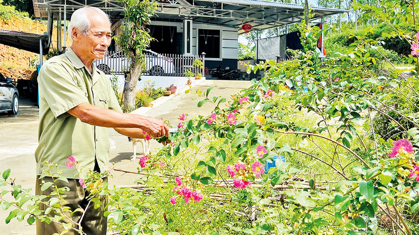 Thương binh Nguyễn Công Sáu chăm sóc vườn hoa của gia đình.