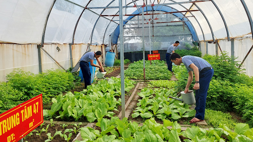 Khu tăng gia sản xuất tập trung và cải tạo đất của đảo Sinh Tồn.