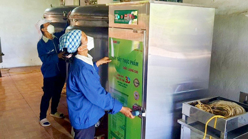 Quy trình sấy sản phẩm tại Hợp tác xã Dược liệu Cự Nẫm (huyện Bố Trạch).