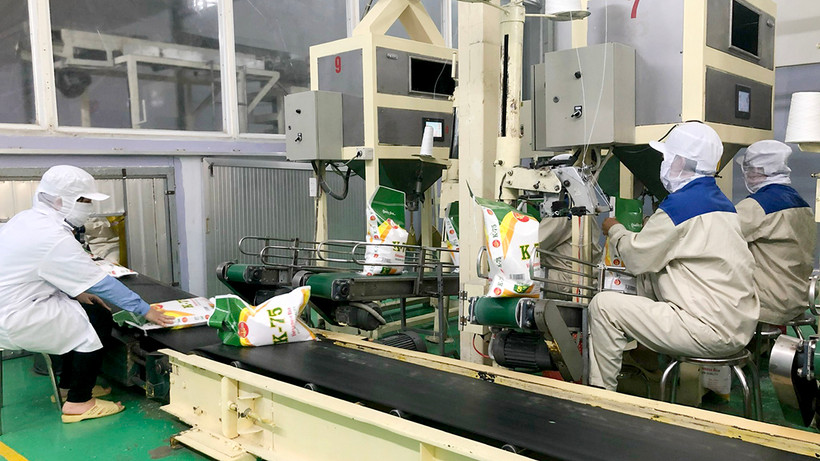 Ðóng gói gạo xuất khẩu tại nhà máy gạo của Công ty cổ phần Tập đoàn Lộc Trời ở huyện Thoại Sơn, tỉnh An Giang. (Ảnh TRẦN NGỌC)