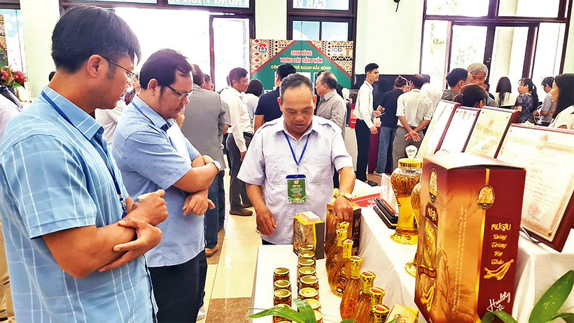 Sản phẩm nông nghiệp của Ðắk Nông phát triển đa dạng về mẫu mã, chủng loại, có mặt ở nhiều thị trường trong nước và quốc tế.