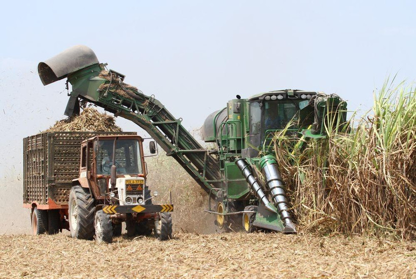 Ảnh minh họa: Thu hoạch mía bằng cơ giới ở một nông trường. 