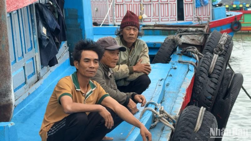 3 ngư dân Quảng Ngãi bị chìm tàu cá khi hành nghề trên biển được đưa vào bờ an toàn.