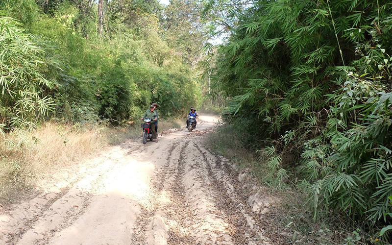 Nhân viên Ban Quản lý rừng phòng hộ Đắk Mai tuần tra bảo vệ rừng.